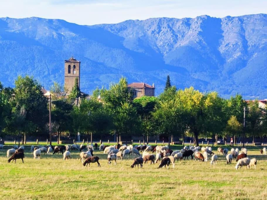 El Escondite De Molina. Valle Del Tietar. La Iglesuela エクステリア 写真